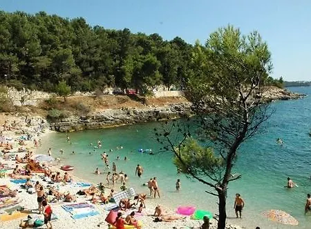 Apartment Arena Design App, Free Private Parking, Terrace *