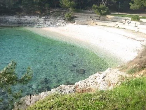 Apartment Arena Design App, Free Private Parking, Terrace *